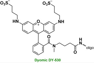 Bio-Synthesis Inc. Oligo Structure